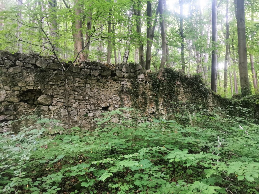 Czerna- ruiny muru klasztornego