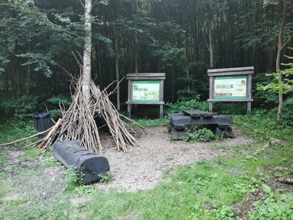 Skała Kmity i Dolina Grzybowska