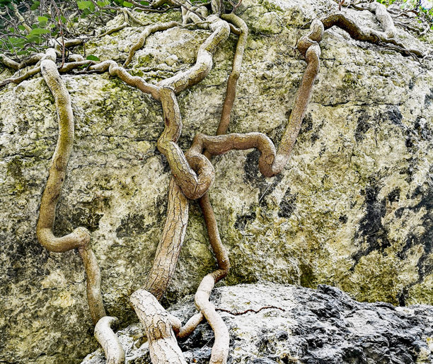 Rezerwat Zimny Dół