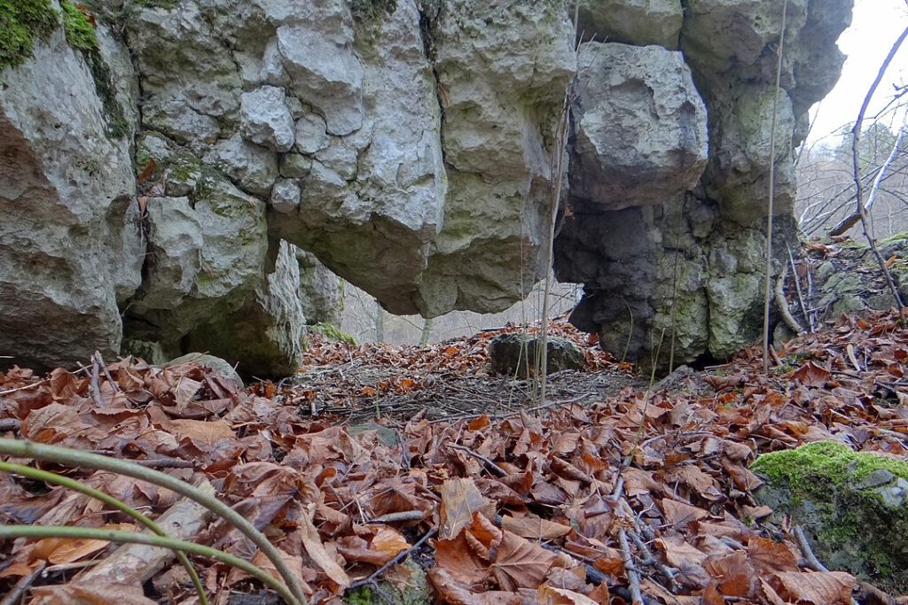 Garbata Skała, autor: Jerzy Opioła