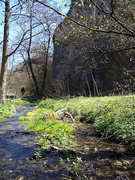 Potok Kluczwoda, Autor: Jerzy Opioła