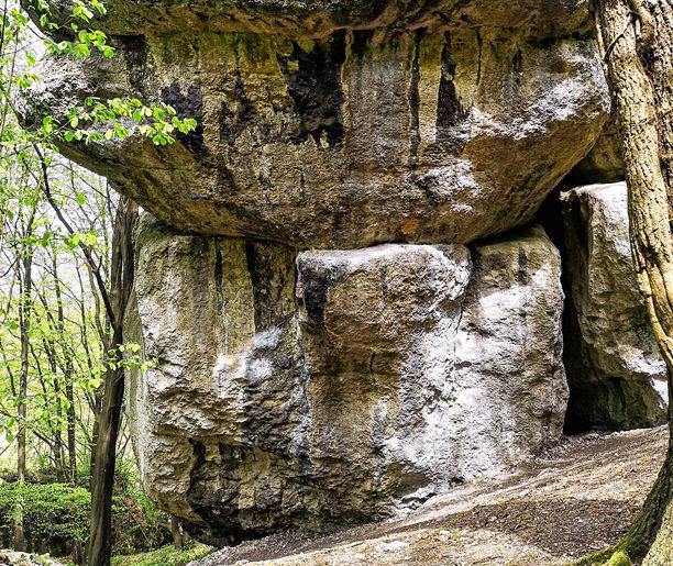 Rezerwat Zimny Dół