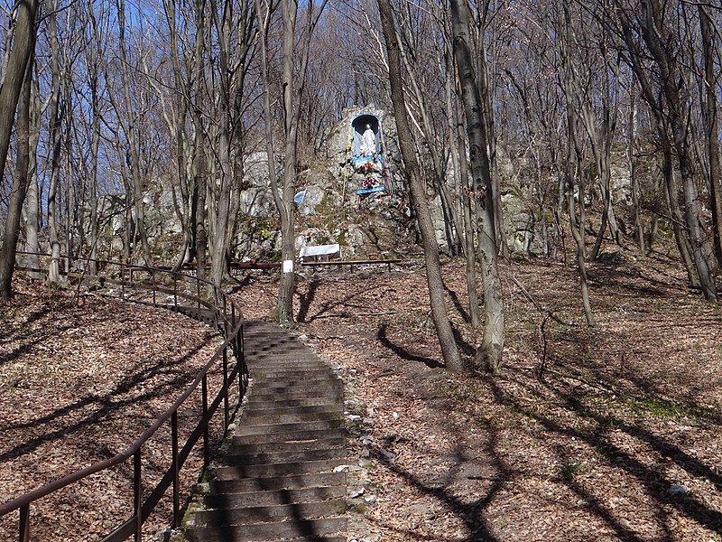Leśne Sanktuarium w Tyńcu