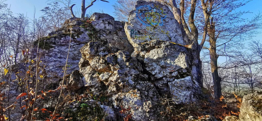 fot Dariusz Skipiała