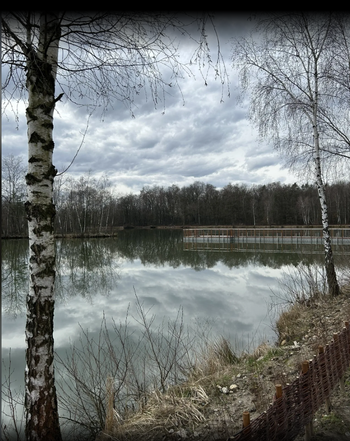 Uroczysko w Rząsce – trasa biegowa