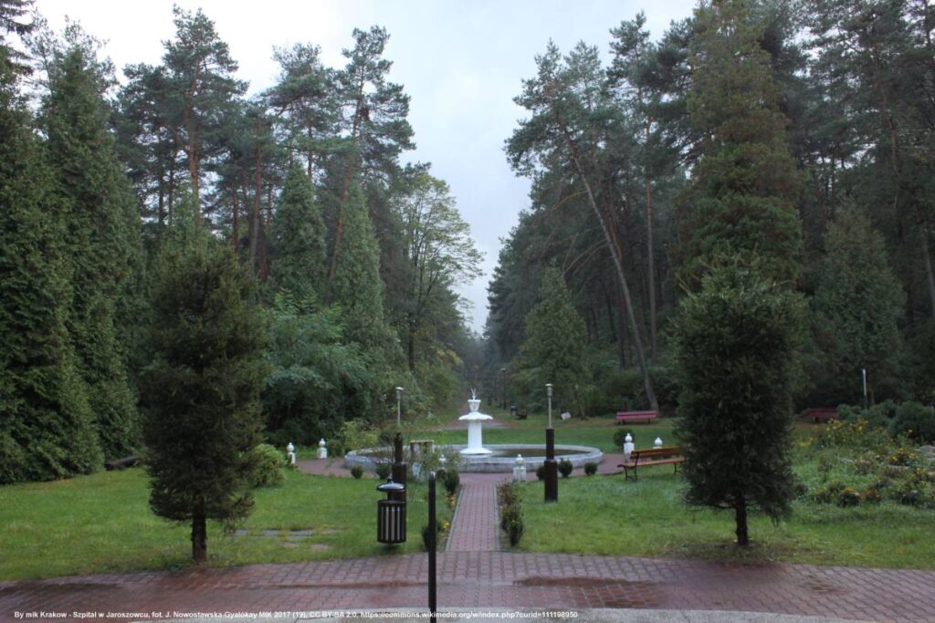 Historyczny dąb