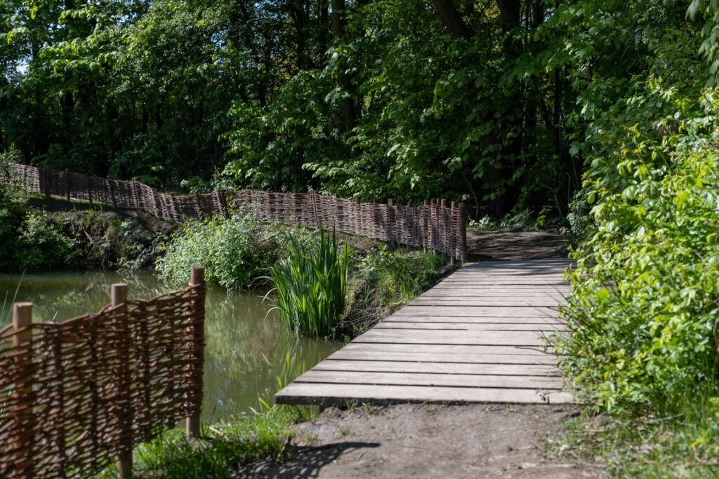 Park Tetmajera